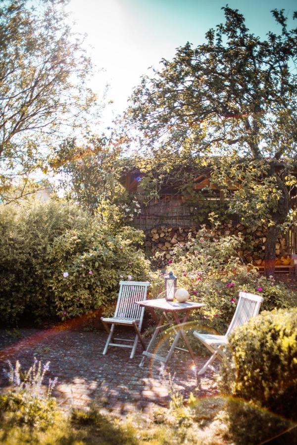 Bed & Breakfast Unter Den Linden Hungen Zewnętrze zdjęcie
