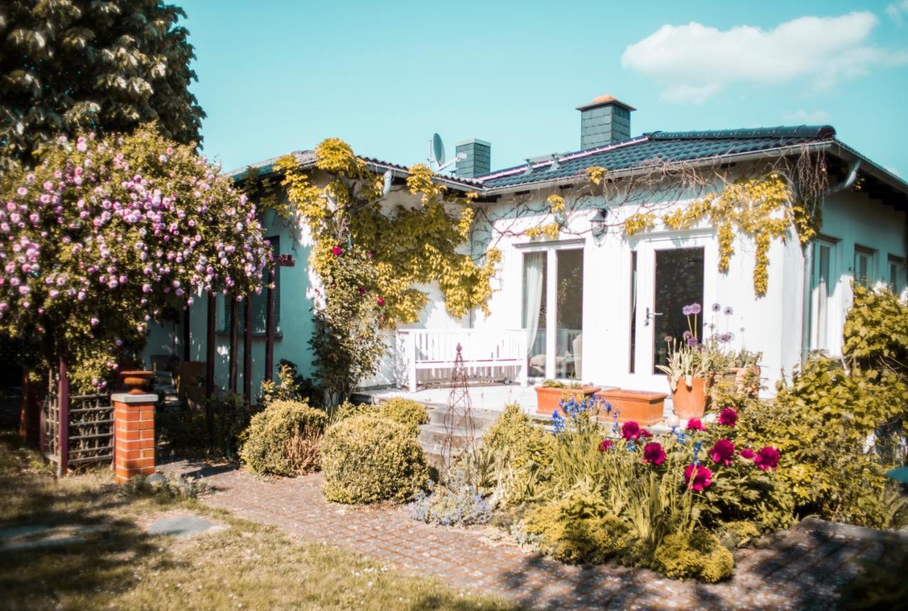 Bed & Breakfast Unter Den Linden Hungen Zewnętrze zdjęcie