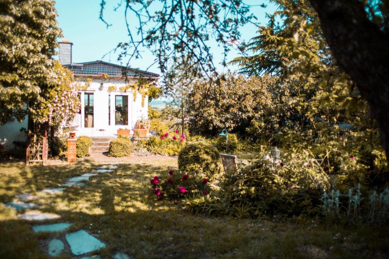 Bed & Breakfast Unter Den Linden Hungen Zewnętrze zdjęcie