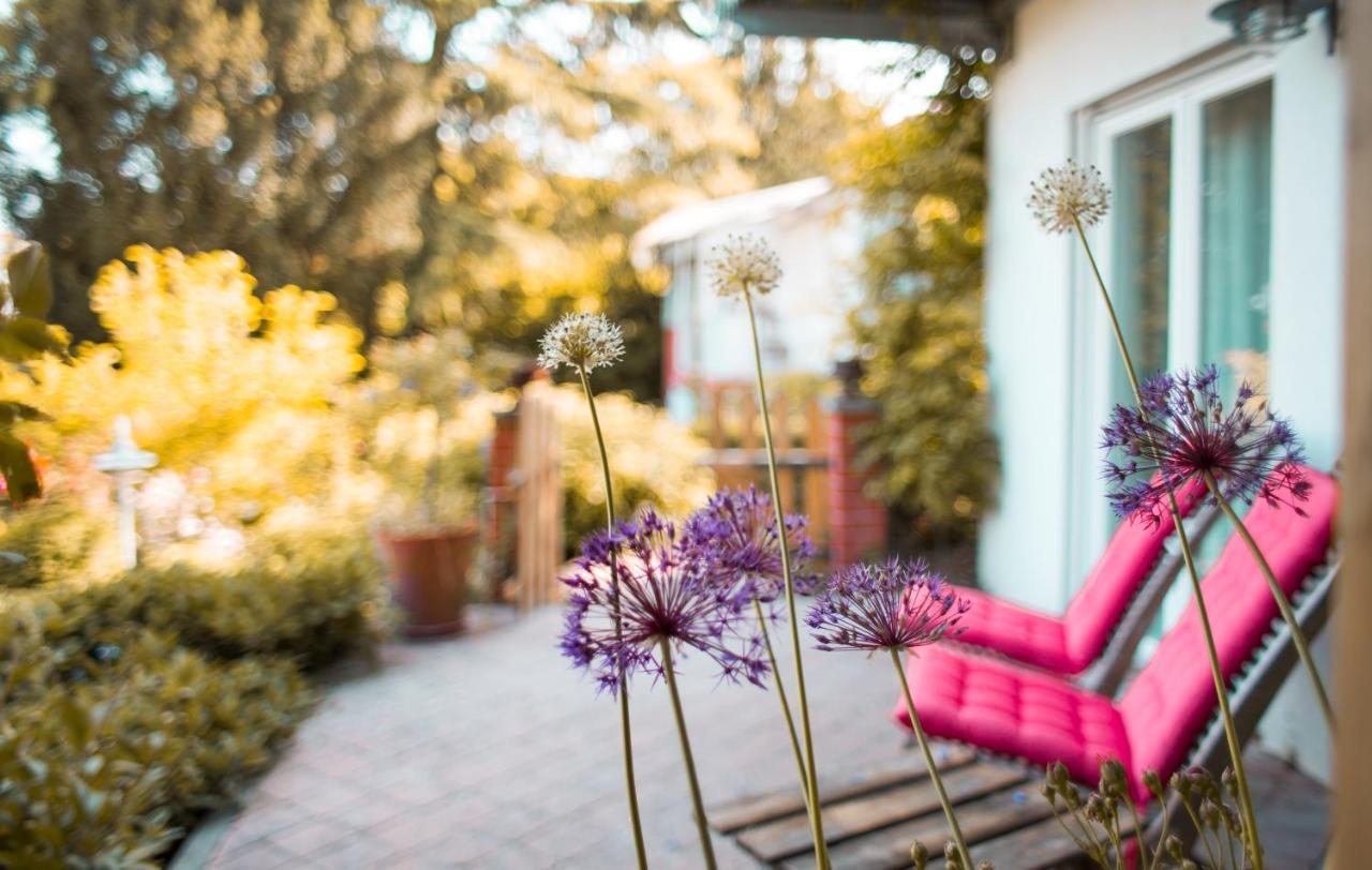 Bed & Breakfast Unter Den Linden Hungen Zewnętrze zdjęcie